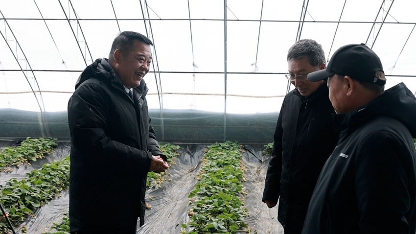 冬閑變農忙，服務暖棚間 公主嶺農技人員為現(xiàn)代農業(yè)“把脈問診”
