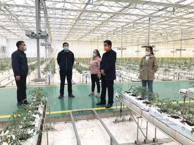 科技興農促發展，服務先行助振興——記山西農業大學專家團隊赴太谷區開展技術指導